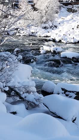 Vertikale-Zeitlupenaufnahme-Schneebedeckter-Stromschnellen-In-Einer-Ruhigen-Winterlandschaft