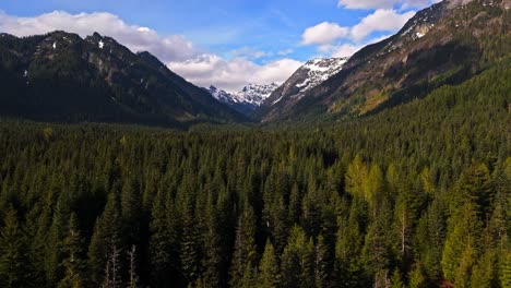 Beautiful-view-flying-over-Evergreen-Forest-with-mountains-in-the-background-at-Gold-Creek-Pond-in-Washington-State