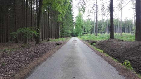 Drivers-POV-of-an-empty-forest-during-evening
