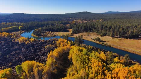 Aerial-wide-shot-of-blue-sky-and-colorful-fall-trees-near-Bend,-Oregon