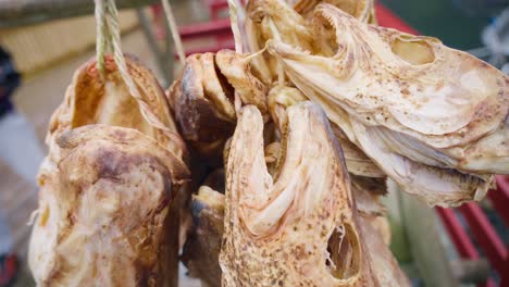 Close-up-shot-of-dead-dried-salmon-heads-beautiful-fisher-village-of-Å,-the-Lofoten-Islands,-Norway