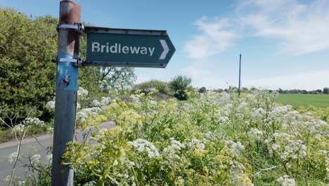 Bridleway-signpost-with-direction-arrow-in-rural-countryside-ground-elder-hedgerow