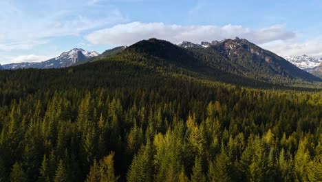 Aerial-view-of-Washington-State-landscapes-and-Evergreen-forest-with-mountains-in-the-background-at-Gold-Creek-Pond