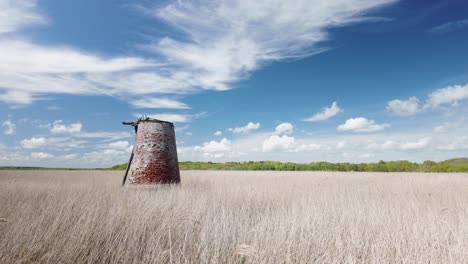 Walberswick-derelict-drainage-windmill,-surrounded-by-marsh-reedbeds