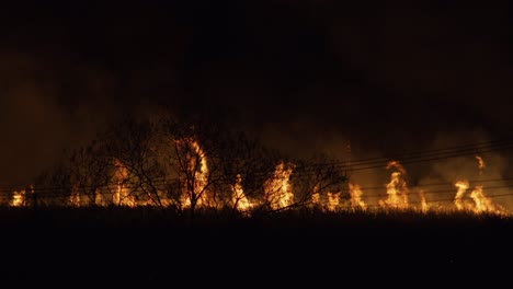 El-Campo-De-Caña-De-Azúcar-Arde-Con-Llamas-Altas,-Liberando-Humo-Espeso-En-El-Aire.