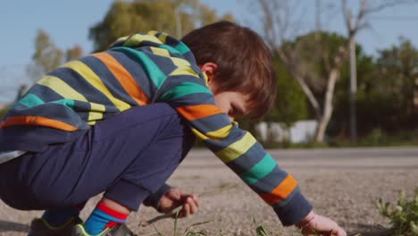 Primer-Plano-De-Un-Niño-Caucásico,-Jugando-Con-Palos-De-Madera-En-Los-Campos-En-Un-Día-Soleado