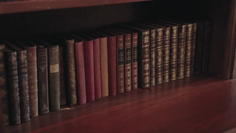Row-of-vintage-books-on-a-wooden-bookshelf
