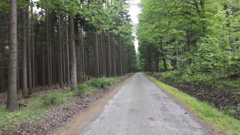 Viajando-Por-Un-Campo-Tranquilo-Y-Aislado,-Por-Una-Carretera-Estrecha-Y-Una-Zona-De-Bosque-Denso.