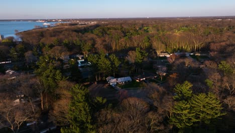 Tracking-across-the-treetops-with-a-pan-motion