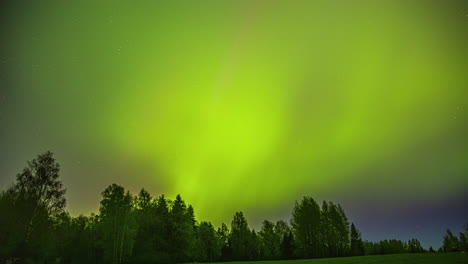 La-Aurora-Boreal-Tiñe-El-Cielo-De-Verde-Y-Morado-Sobre-Un-Bosque.