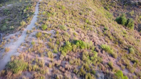 Forest-of-the-crosses-montserrat-in-marganell-spain-with-dry-landscape,-aerial-view