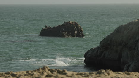 Ein-Surfer-Springt-Von-Der-Klippe-Am-Steamer-Lane-In-Santa-Cruz,-Kalifornien