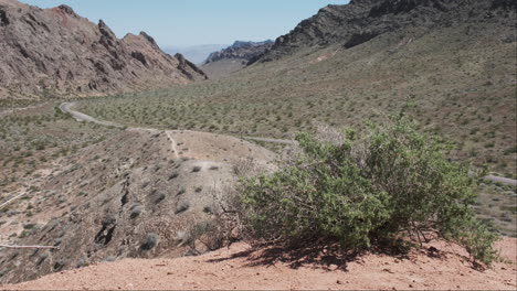 Resilient-desert-bush-swaying-gently,-a-winding-road-disappearing-into-the-vast-desert-landscape