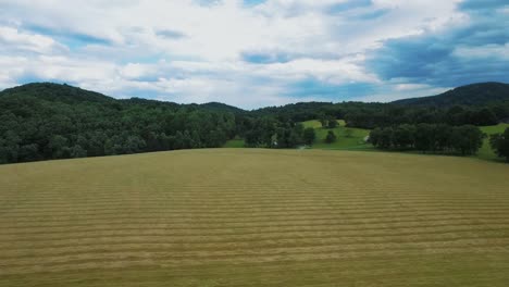 Aerial-fly-over,-behind-of-farmer-cutting-hay-in-field-during-harvest