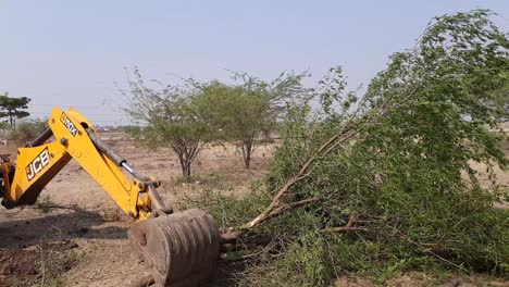 Bhusawal,-Maharashtra,-India,-January-20,-2021:-A-JCB-earthmover-pulling-out-bamboo-trees-from-agricultural-land