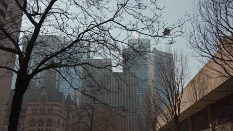 Walking-towards-the-financial-district-on-a-bright,-sunny-day-in-Toronto,-Canada