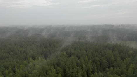 Drone-flight-over-a-misty-forest-at-dusk