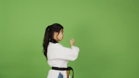 Female-Taekwando-champion-shows-martial-arts-skill-with-kicks,-blocks-and-punches