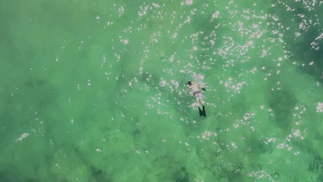 Taucher-Speerfischen-NSW-Australien