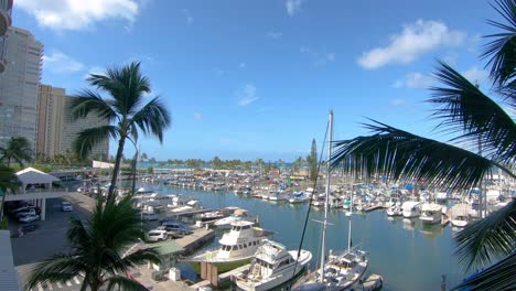 View-From-Balcony-Of-Palm-Tree-And-Ala-Wai-Boat-Harbor-In-Honolulu,-Hawaii