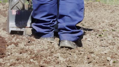 Landwirt-Fährt-Im-Frühjahr-Einen-Kleinen-Handtraktor-Zur-Bodenbearbeitung,-Um-Den-Boden-Für-Die-Gartenarbeit-Vorzubereiten