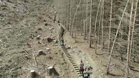 Aerial-ascending-revealing-people-climbing-up-staircase-between-cut-down-forest