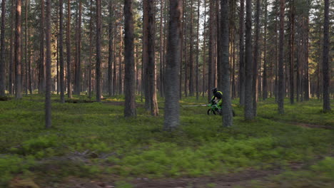 Piloto-De-Motocross-Acelerando-En-Una-Pista-De-Tierra-En-El-Bosque-De-Pinos