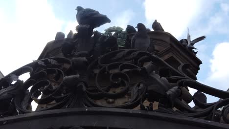 Muchas-Palomas-Sentadas-En-Una-Estatua-Histórica-En-La-Ciudad-Alemana-De-Nuremberg.