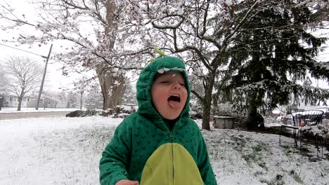 Cute-Kid-Playing-Snowflakes-During-Wintertime-In-Flat-Rock,-Michigan,-USA---Slow-Motion