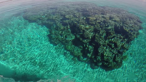 Passing-by-a-Coral-Bommie-in-Clear,-Blue-Water-on-Boat,-HANDHELD-SLOMO