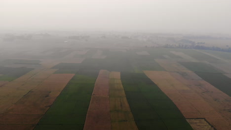 Aerial-footage-of-freshly-harvested-wheat-or-barley-field-in-the-flat-lands-of-Nepal