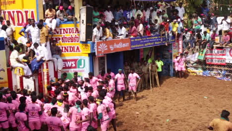 Jallikattu,-Ein-Stierfest-In-Indien