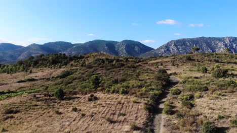 Pyrenees-valley-with-exposed-mountains-and-fields-with-pathway