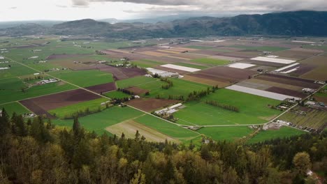 Schwenkbare-Drohnenaufnahmen,-Die-Die-Landschaft-Des-Landwirtschaftsbezirks-Abbotsford-Und-Chilliwack-Zeigen