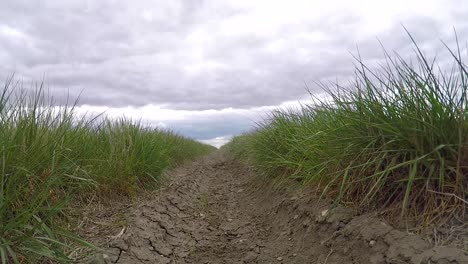 Front-view-drive-over-camera-by-a-dirty-Nissan-Xterra-in-a-rutted-rural-field-in-the-Canadian-prairies