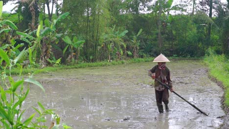 Indonesischer-Bauer,-Der-An-Einem-Sonnigen-Tag-In-Indonesien-Auf-Einem-Reisfeld-Einer-Plantage-Arbeitet,-Nahaufnahme