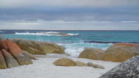 Bright-blue-ocean-beach-white-sand-at-Bay-of-Fires-Tasmania,-Panning-Shot