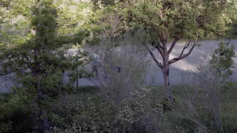 Two-women-walking-behind-a-set-of-trees-in-a-park