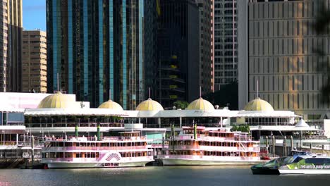 Foto-Icónica-De-Los-Famosos-Barcos-De-Vapor-River-Queen-Amarrados-En-El-Recinto-Ribereño,-En-El-Río-Brisbane-Mientras-Un-Gato-Urbano-Pasa-En-Primer-Plano