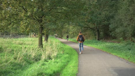 Man-walking-through-park-on-pathway-in-countryside-woods,-rear-view-reveal