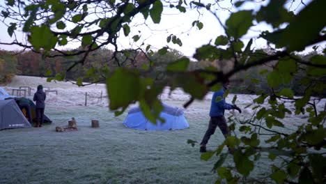 a-frosty-beautiful-morning-in-the-forest