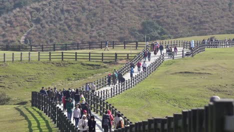 Turistas-Locales-Que-Visitan-El-Parque-Nacional-Green-Field-Paddock-Yangmingshan-En-Taiwán-Seguro-Para-Covid