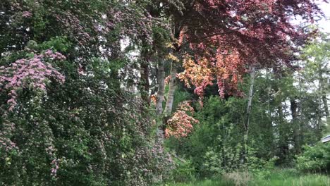 Blick-Auf-Das-Hinsdale-Anwesen