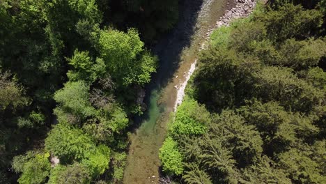 Vista-De-Pájaro-Girando-Un-Drone-Sobre-Un-Arroyo-En-Un-Bosque