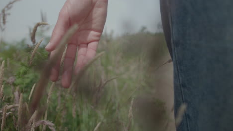 Running-hand-through-long-grass