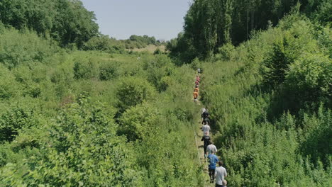 AERIAL-SLOMO:-Runners-running-on-a-trail-through-a-valley-in-a-forest-on-a-sunny,-summer-day