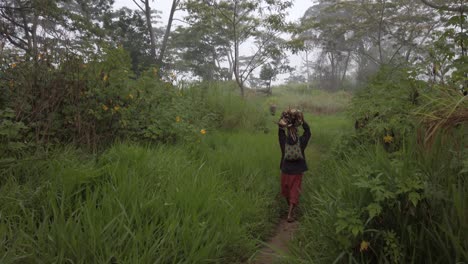 Mujer-Cargando-Leña-En-Las-Montañas-De-Papúa-Nueva-Guinea.