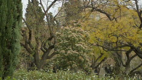 Barcelona-streets---parks-at-spring