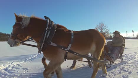 Horse-drawn-sleigh-riders-through-a-countryside-on-a-sunny-winter-day