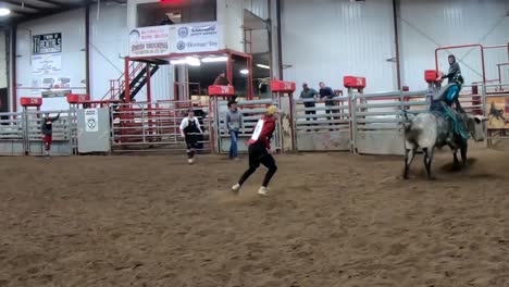 Bull-riders-practice-riding-bulls-inside-an-indoor-arena